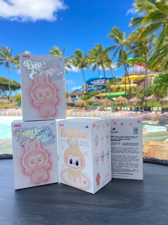Blind box of possibility: 12 free Labubu at Wet’n’Wild