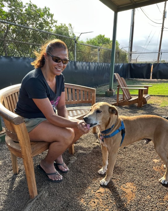 Kruz, the blind dog, has found a new home
