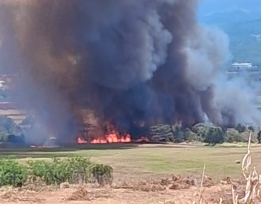 Kunia fire suspect arrested on suspicion of another arson case