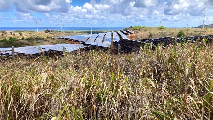 Hawaiian Council sets its sights on energy independence