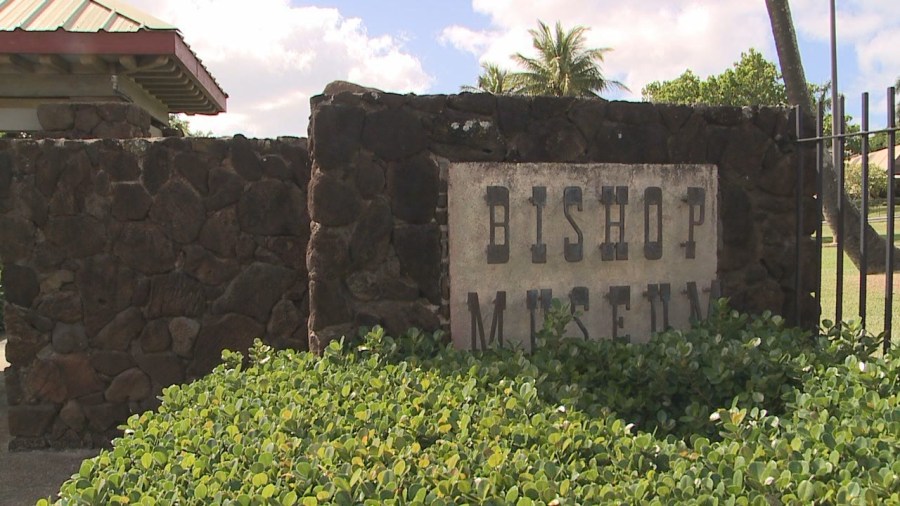 Bishop Museum dives deep with new ocean exhibit