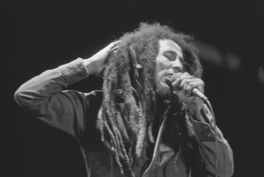 One Love reggae festival makes its first appearance in Hawaiʻi