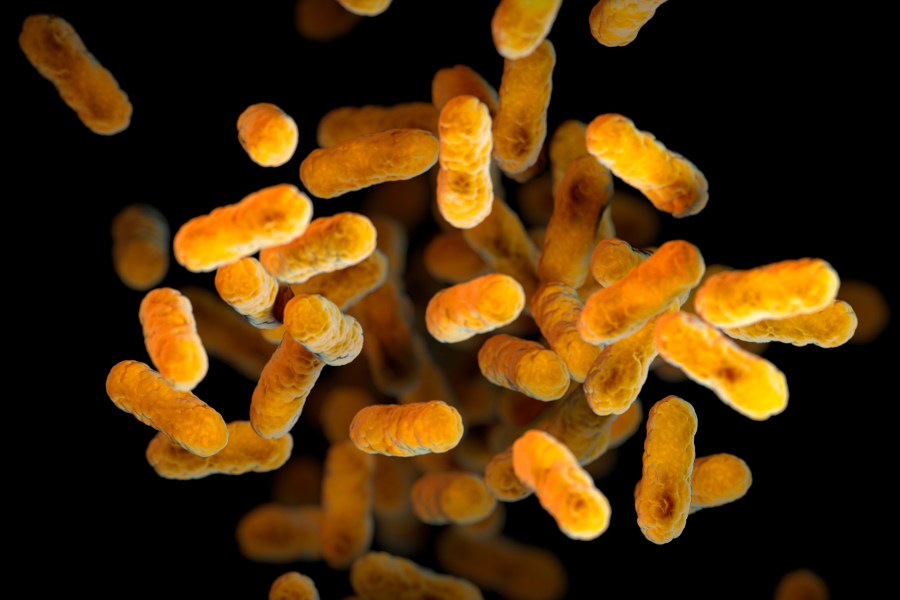 Hawaii health officials concerned over rise in  whooping cough cases