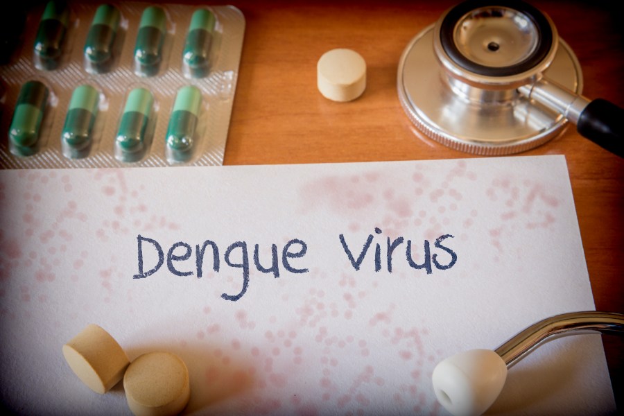 Hawaii Department of Health confirms 12th dengue virus case of 2025