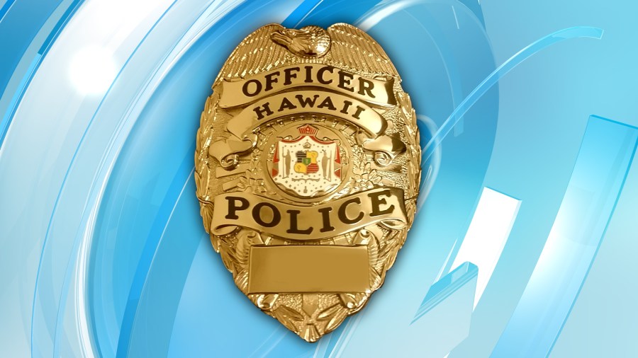 Stay in the loop: Big Island police launching new 911 feature
