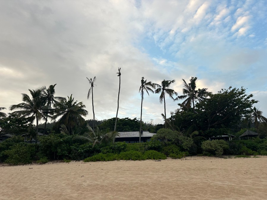 ‘Emergency situation’ Molokaʻi residents push for ban to keep CRB out