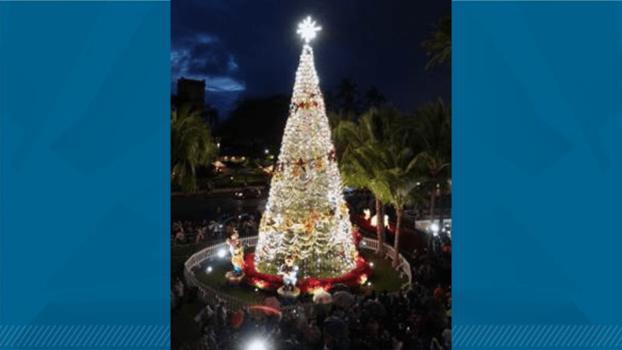 Merry and bright: Apply for Honolulu City Lights display