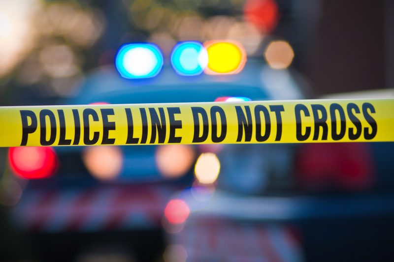 Former Colorado K-9 euthanized after chief’s 3-year-old daughter dies following attack