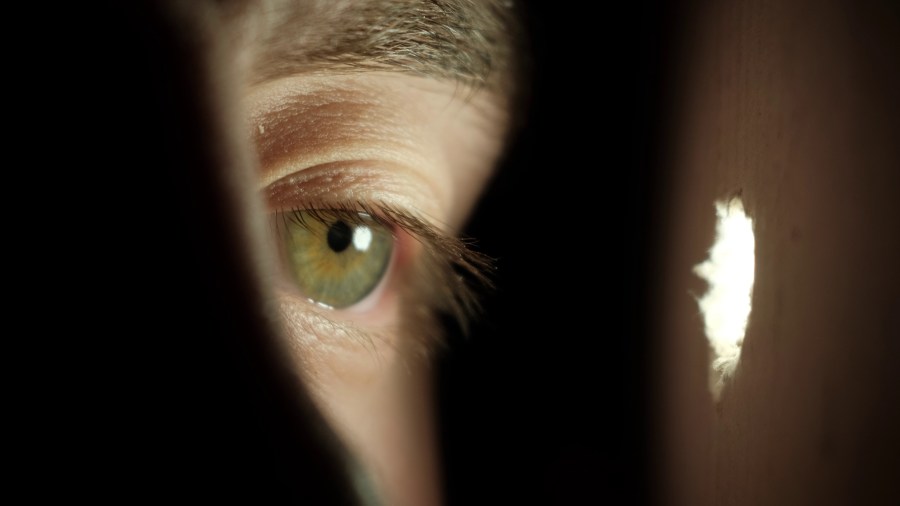 Honolulu Peeping Tom arrested: Allegations, charges