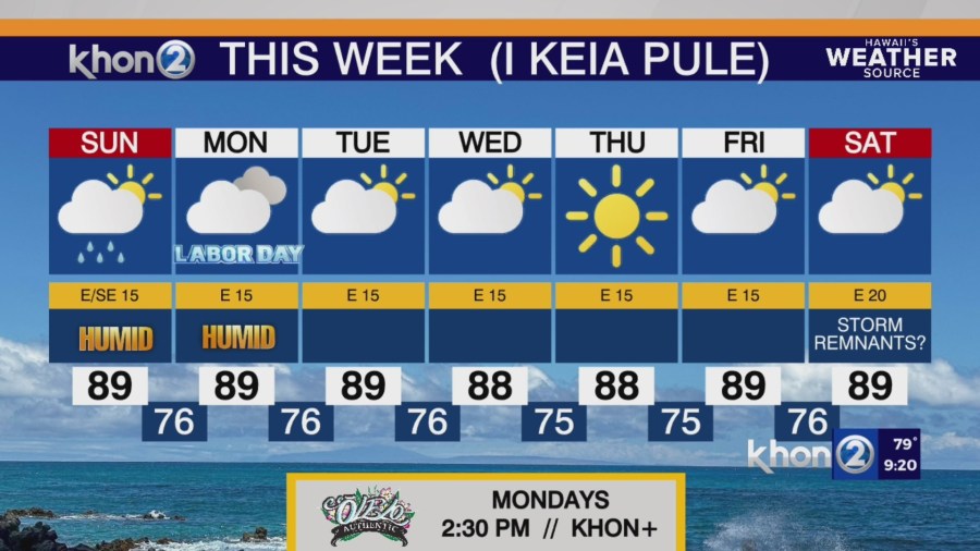 Humidity to rise as increase of moisture moves through