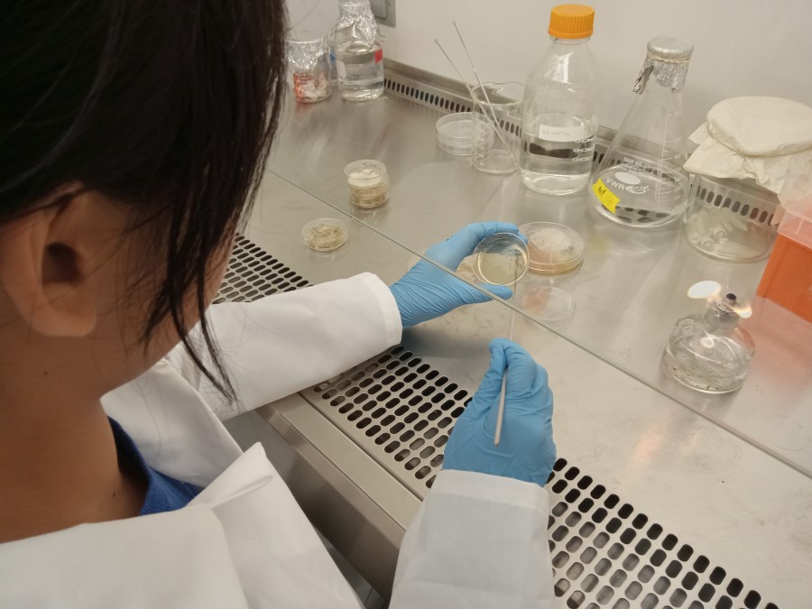 Hawaiʻi students are STEM superstars in nationwide competition