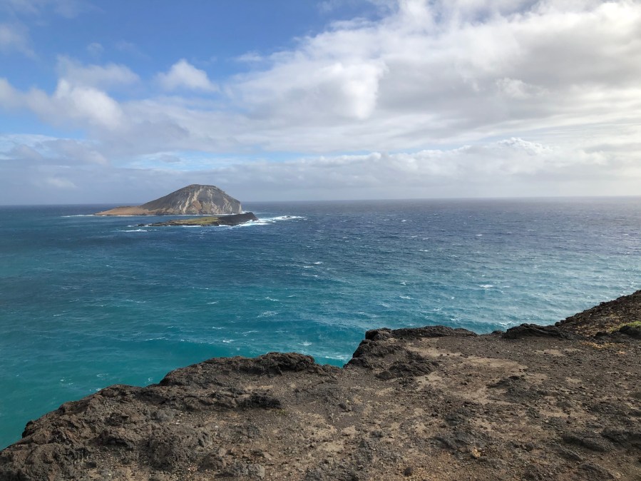 Moana, Hawaiʻi’s 2-yo monk seal, found dead