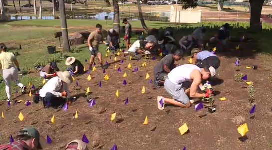 Rooted in remembrance: Community plants native species to honor 9/11 first responders