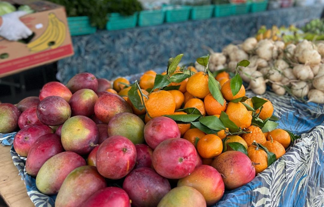 UH program looks to give grocery vouchers to those living with hypertension