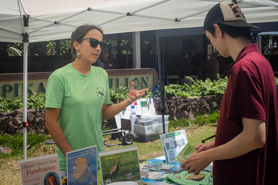 Waimea Valley hosts 17th annual Kalo and ʻAwa Festival