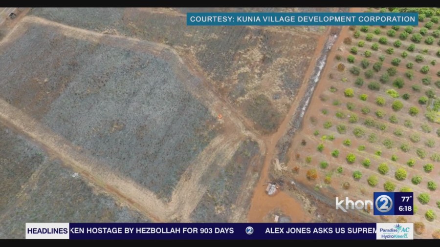 Kunia businesses helping local farms devastated by arson