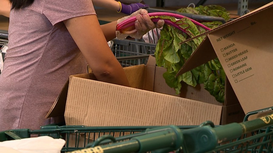 State leaders prepare for SNAP benefit loss