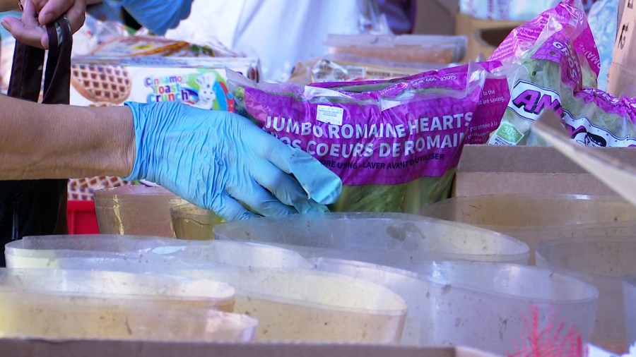 Alternative food assistance amid SNAP suspension