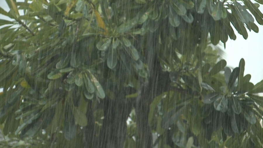 NOAA forecasts drought conditions to improve across the state