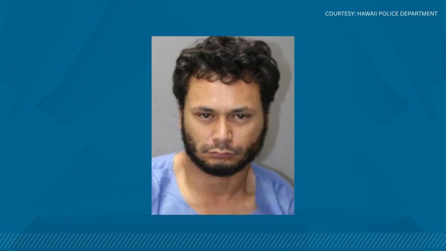 Suspect in Hawaii Island road crime spree charged