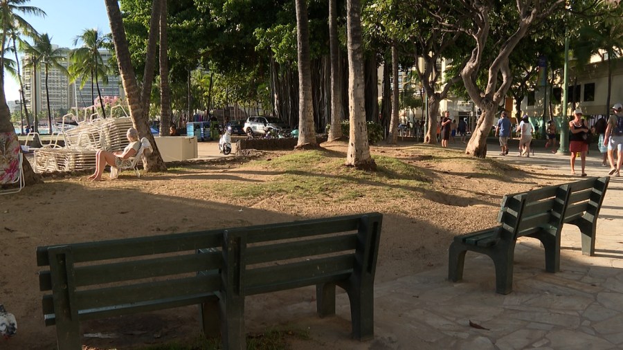 More turf in Waikiki a key part of Kuhio Beach Park revitalization