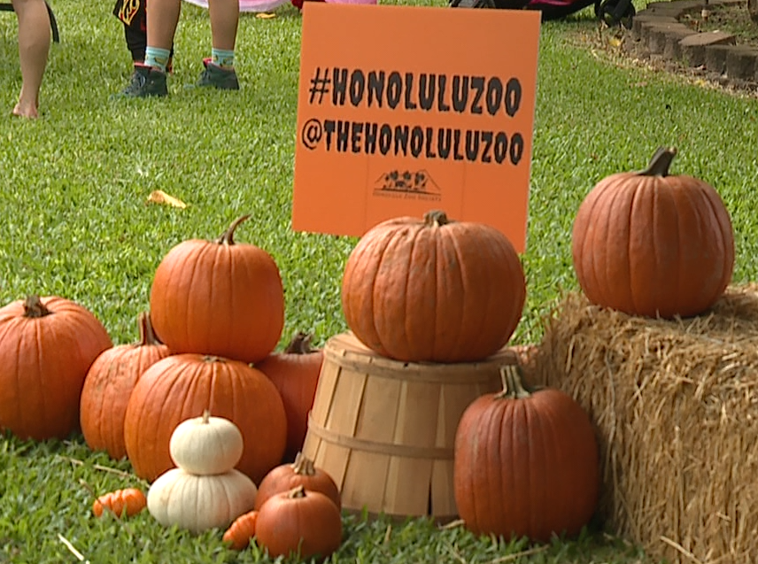 FANG-tastic fun for keiki at HallowZOO