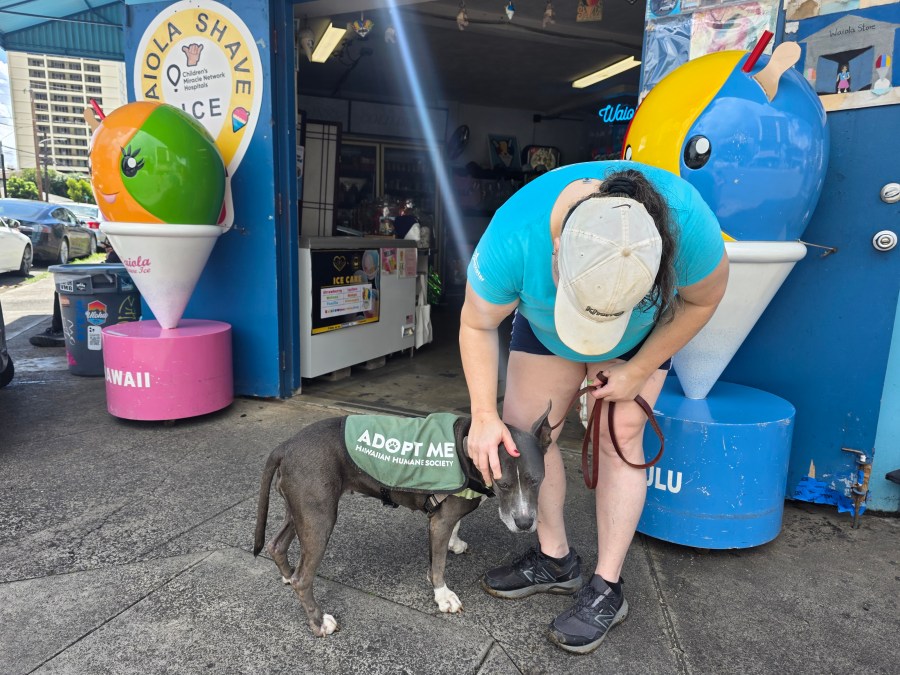 These 15 tips can save your dog’s life while playing outdoors