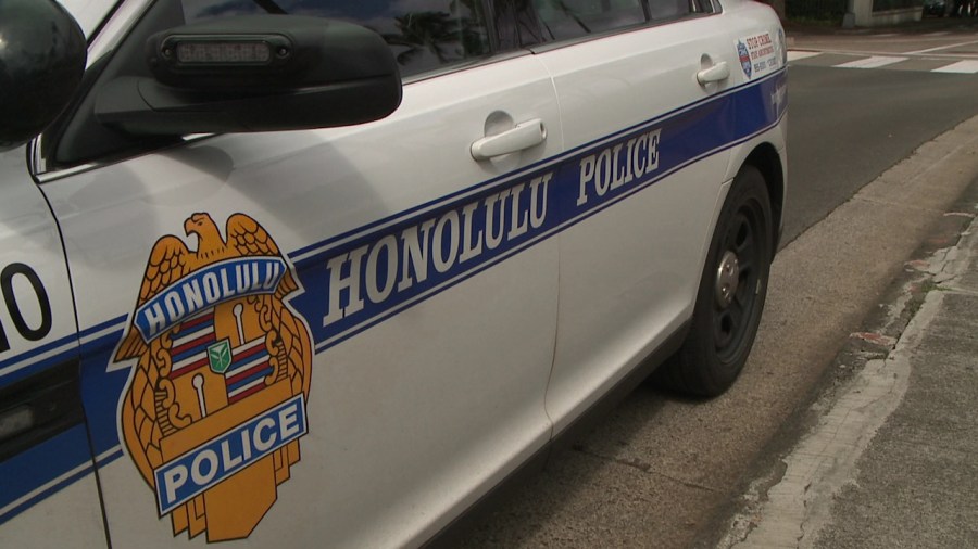 Waiʻanae man in custody after struggle with HPD officer