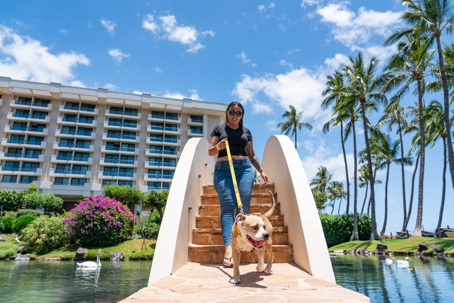 Need some extra cash for the holidays? Check out these side hustles: