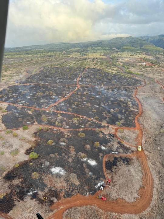Brushfire near Kapalua Airport 75 percent contained