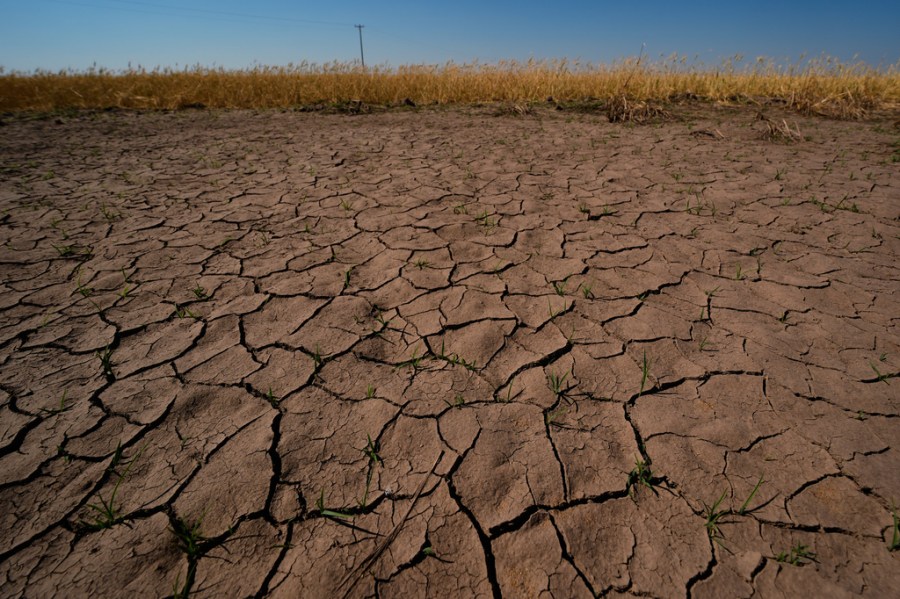 ‘Mini Dust Bowl’ could be forming in the US, expert warns. Will El Niño make it worse?