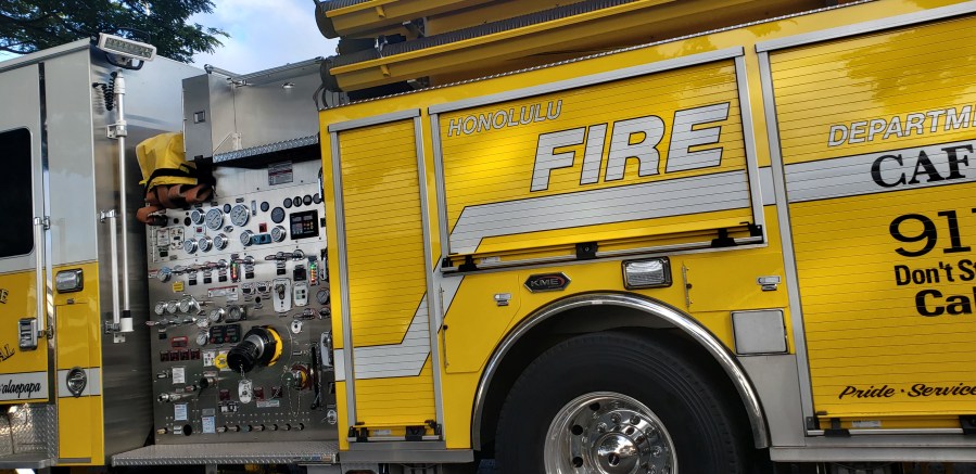 Firefighters rescue 2 pets from Alewa Heights building fire