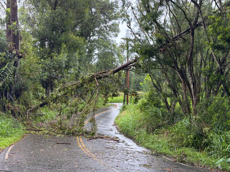 Downed power lines, trees prompt road closures: Island-by-island list