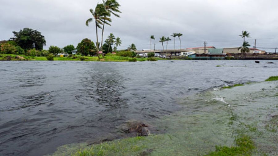 Tropical Storm Lala causes widespread closures across Hawaiʻi: LIST